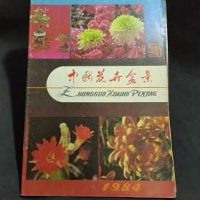 中国花卉盆景 含1984年总第一期 标价为七本价   B2