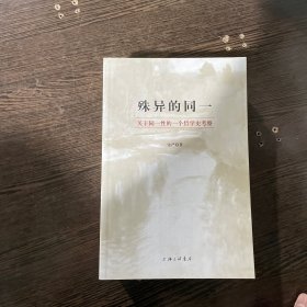 殊异的同一：关于同一性的一个哲学史考察