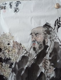 赏菊