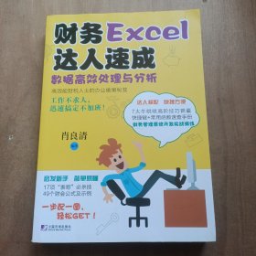 财务Excel达人速成：数据高效处理与分析