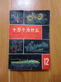 十万个为什么（修订本）12 1966年二版1印