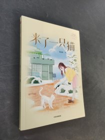来了一只猫
