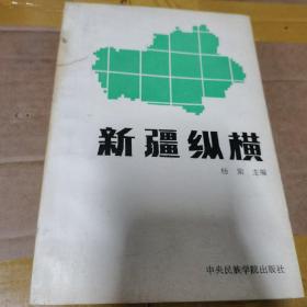 新疆纵横