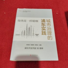 像绣花一样精细：城市治理的浦东实践