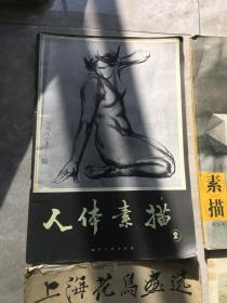 美术大画册一批，李可染、傅抱石、李苦禅、李可染、何香凝画辑，1978版，5本合计200元。上海花鸟画选，1978年20元。唐陆柬之书陆机文赋，1978年15元。素描几何形体技法图解，2007年10元，人体素描1985年5元。