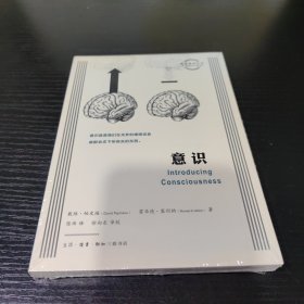 图画通识丛书：意识