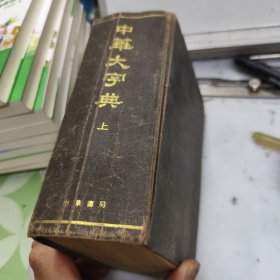 中华大字典（缩印本上册）