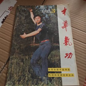 中华气功(85年第3期。J架4排左)