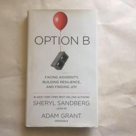 Option B: Facing Adversity, Building Resilience, and Finding Joy