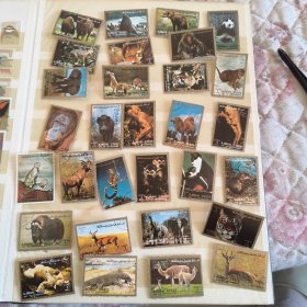 ZH01阿治曼邮票 70年袋 动物题材 大象大熊猫豹子牛鳄鱼鹿虎猩猩袋鼠等 盖销 30枚 背贴 个别瑕疵
