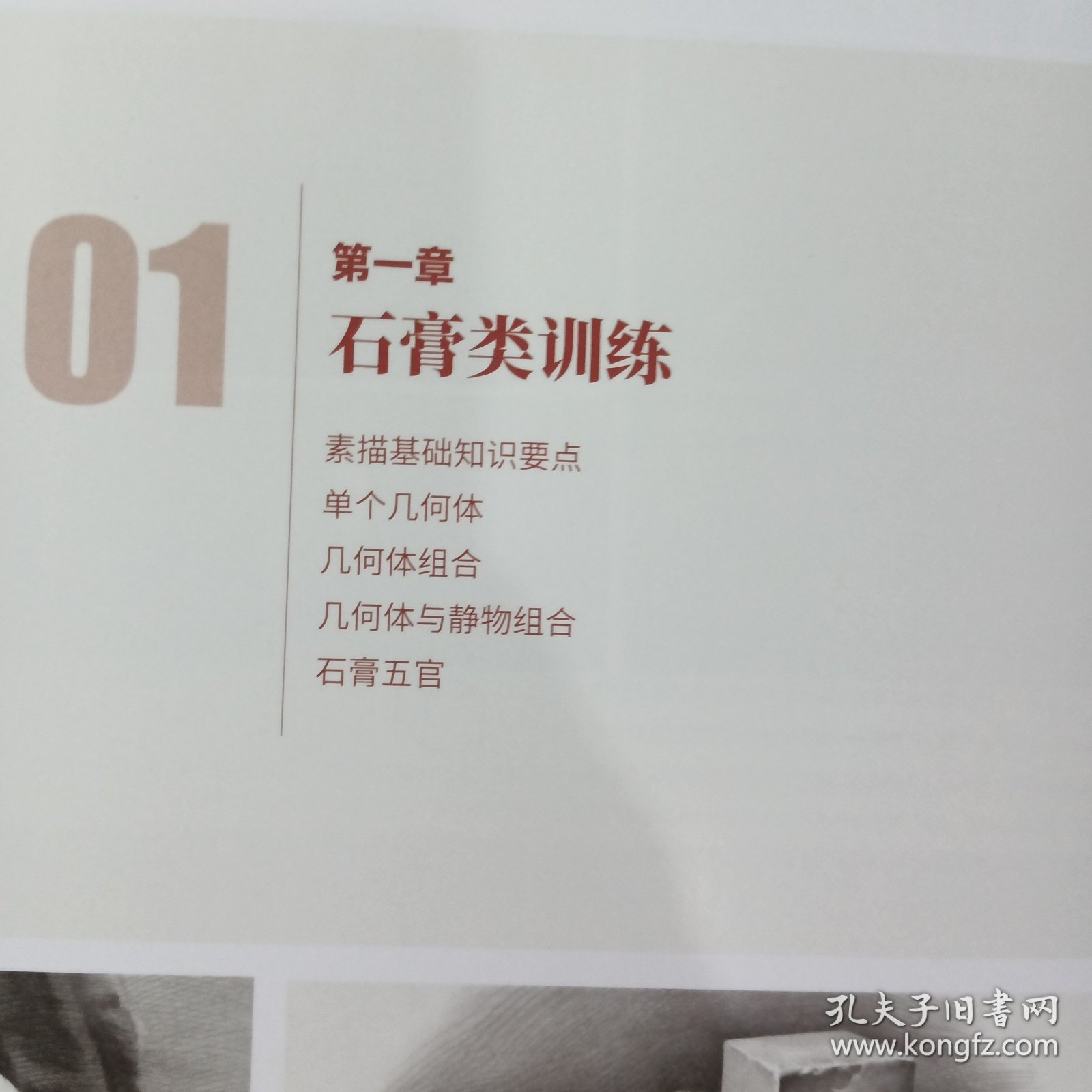 正版 一骑绝尘素描静物临摹范本2022烈公文化唐智源单体与组合照片对画