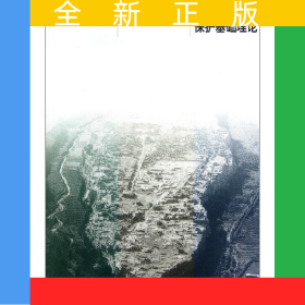 中國建筑遺產(chǎn)保護(hù)基礎(chǔ)理論/高校建筑類專業(yè)參考書系