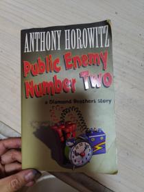 Public Enemy Number Two (Diamond Brother Mysteries)