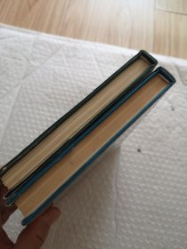 布老虎丛书：壶中日月，牡丹的拒绝（散文卷）2本合售