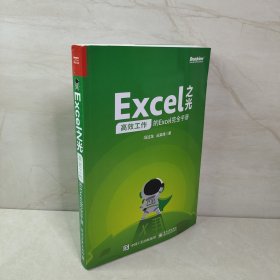 Excel之光：高效工作的Excel完全手册