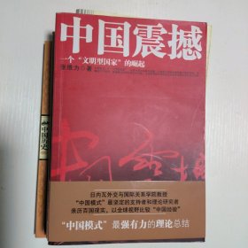 中国震撼：一个“文明型国家”的崛起