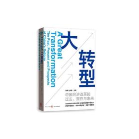 大转型：中国经济改革的过去、现在与未来