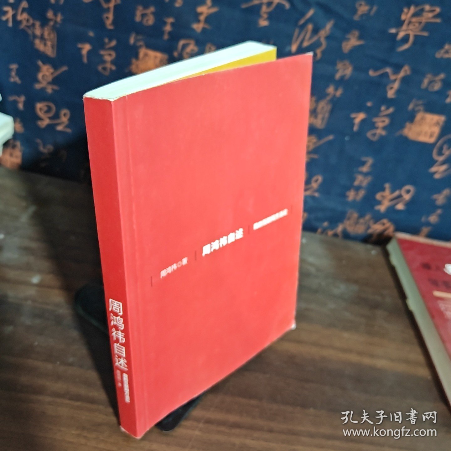 周鸿祎自述