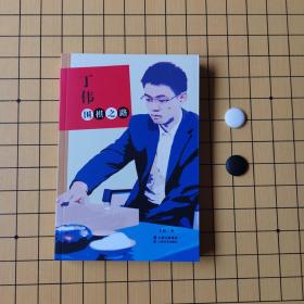 丁伟围棋之路