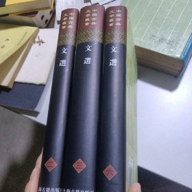 文选(二、三、六册)(精)(中国古典文学丛书）