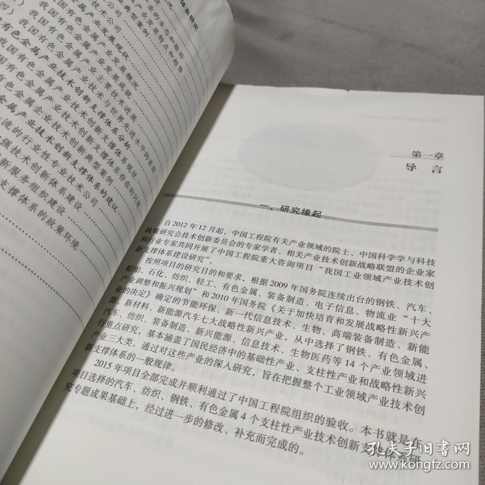 支柱性产业技术创新支撑体系研究