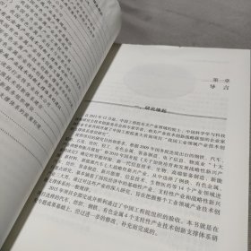 支柱性产业技术创新支撑体系研究