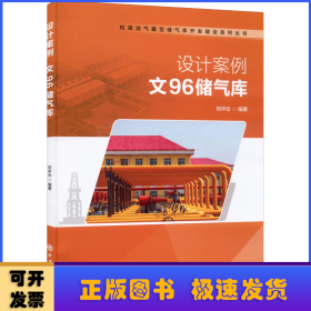 設計案例:文96儲氣庫