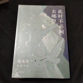 此时不必问去哪里（80后文学领军作家独木舟暌违五年，2020长篇力作）