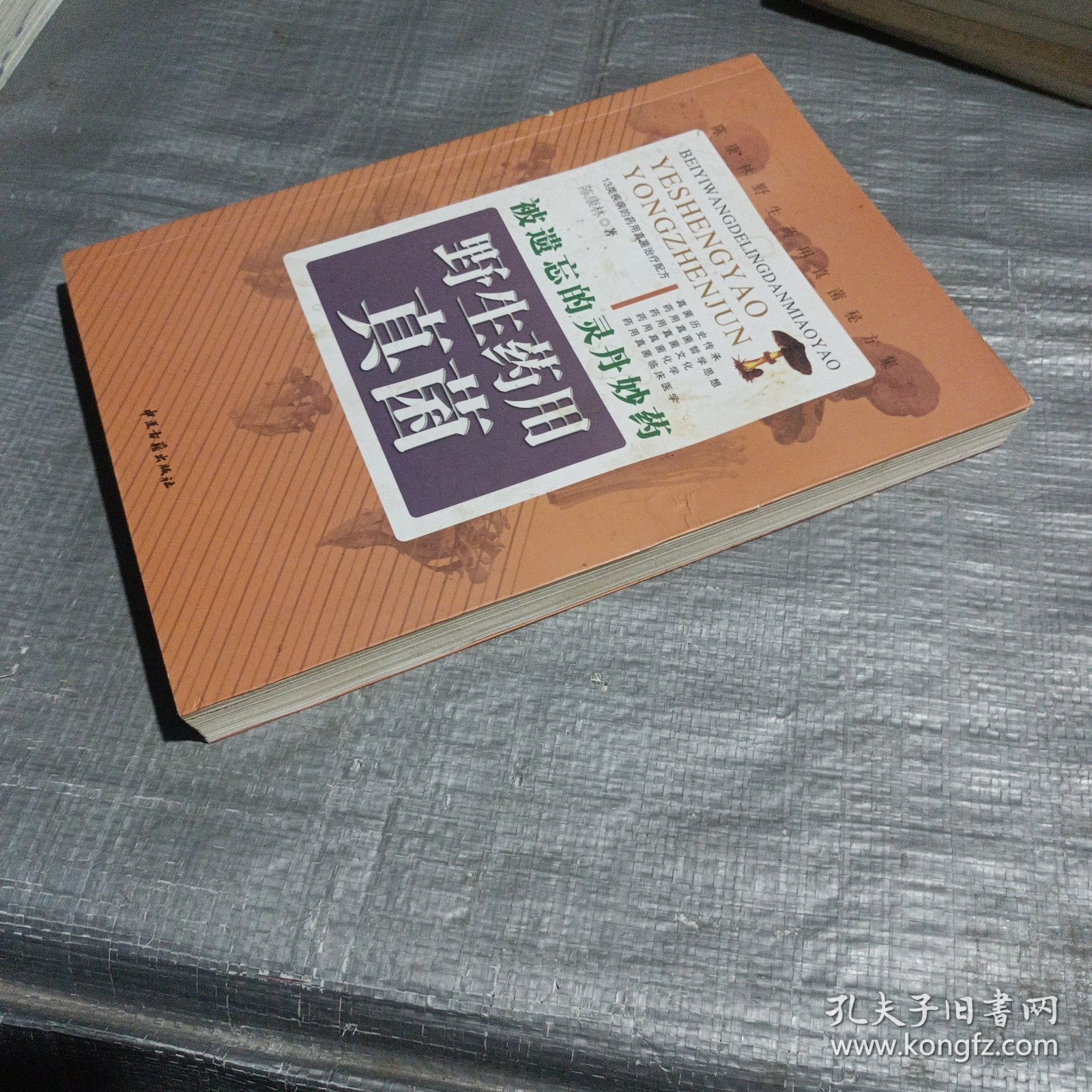 被遗忘的灵丹妙药——野生药用真菌