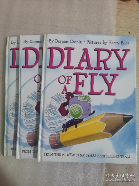 Diary of a Fly