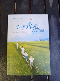 少年奔跑在田间