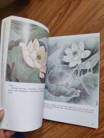 名家国画技法 荷花画谱