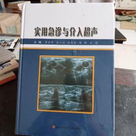 超声诊断实用手册系列：急诊超声指南（第2版）