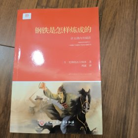 钢铁是怎样炼成的（新课标）