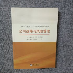 公司战略与风险管理