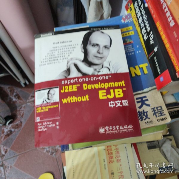 expert one-on-one J2EE Development without EJB 中文版