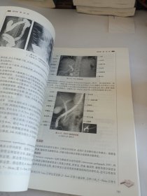 医学影像解剖学（第2版/高职影像/配增值）