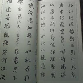 颜真卿行书集字宋词一百首/中国历代经典碑帖集字