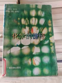 化学的捷径：开创学习化学的新纪元