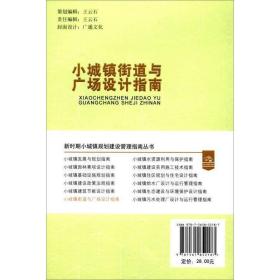 小城镇街道与广场设计指南 建筑工程 孙敬宇主编 新华正版