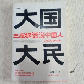 大国大民——王志纲话说中国人