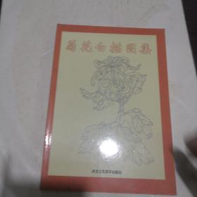 菊花白描图集/中国传统工艺美术资料丛书