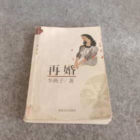 再婚/布老虎丛书