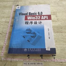 Visual Basic 6.0 Win32 API程序