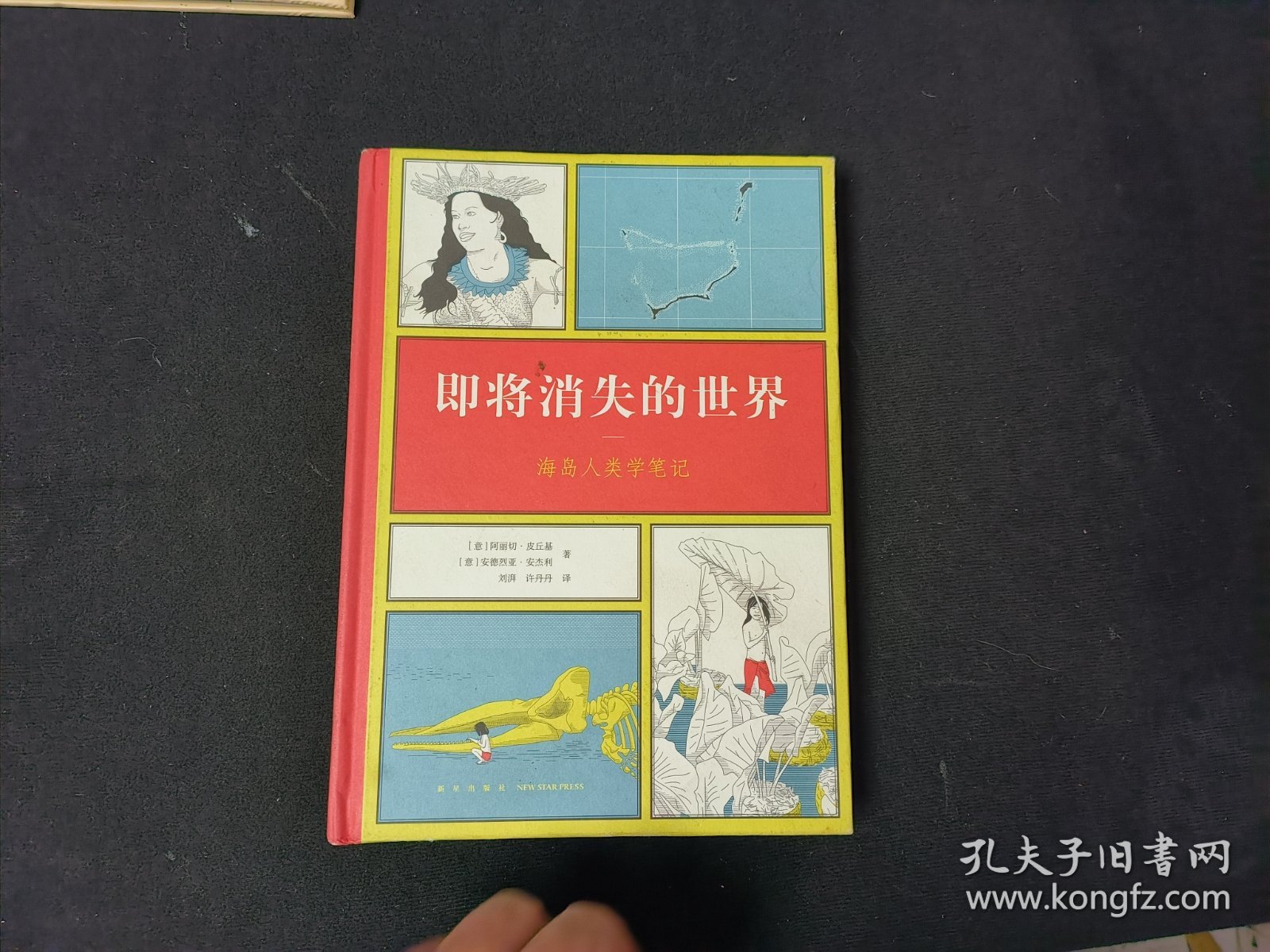 即将消失的世界：海岛人类学笔记