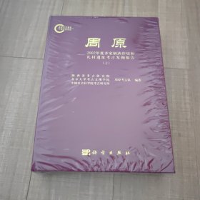 周原__2002年度礼村遗址考古发掘报告《上下册》