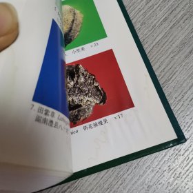 植物考古，签名：种子和果实研究