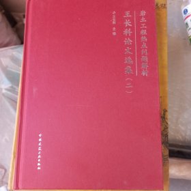 岩土工程热点问题解析 王长科论文集（二）