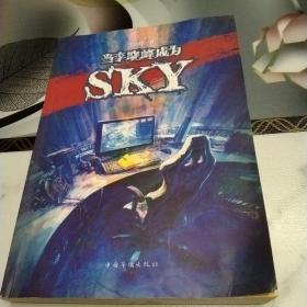 当李晓峰成为SKY