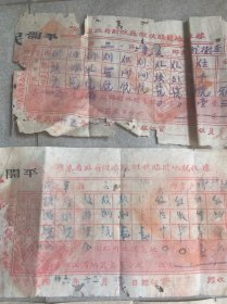 民国 广东省政府财政厅征收临时地税收据 不同5张 开平县